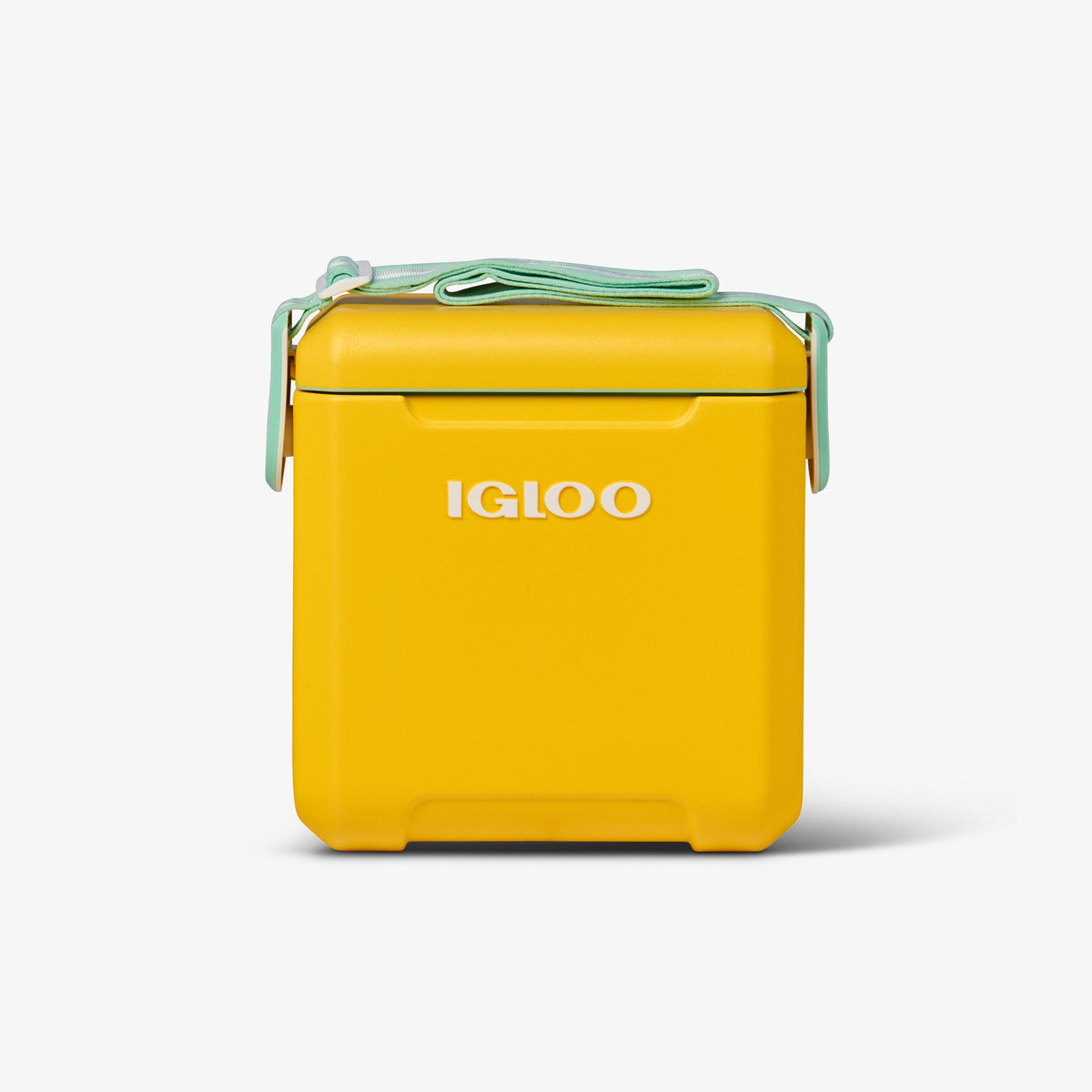 tag-along-too-cooler-x6 00032819_1.jpg
