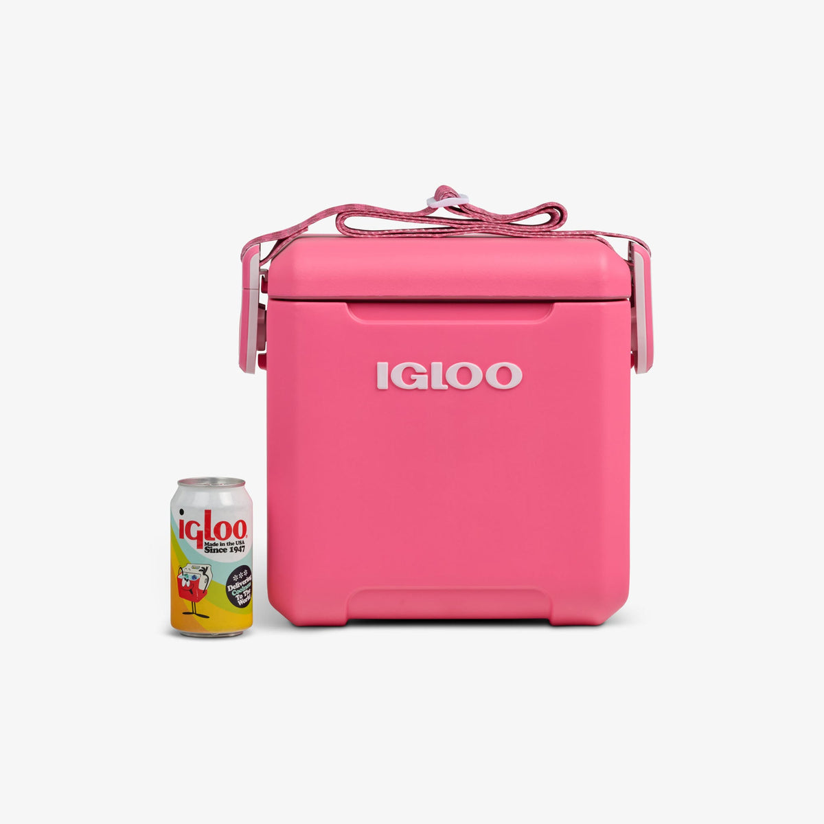tag-along-too-remix-cooler-t3 00033199-P_861a5cd2-f15c-4217-a471-e33cc3890d9e.jpg