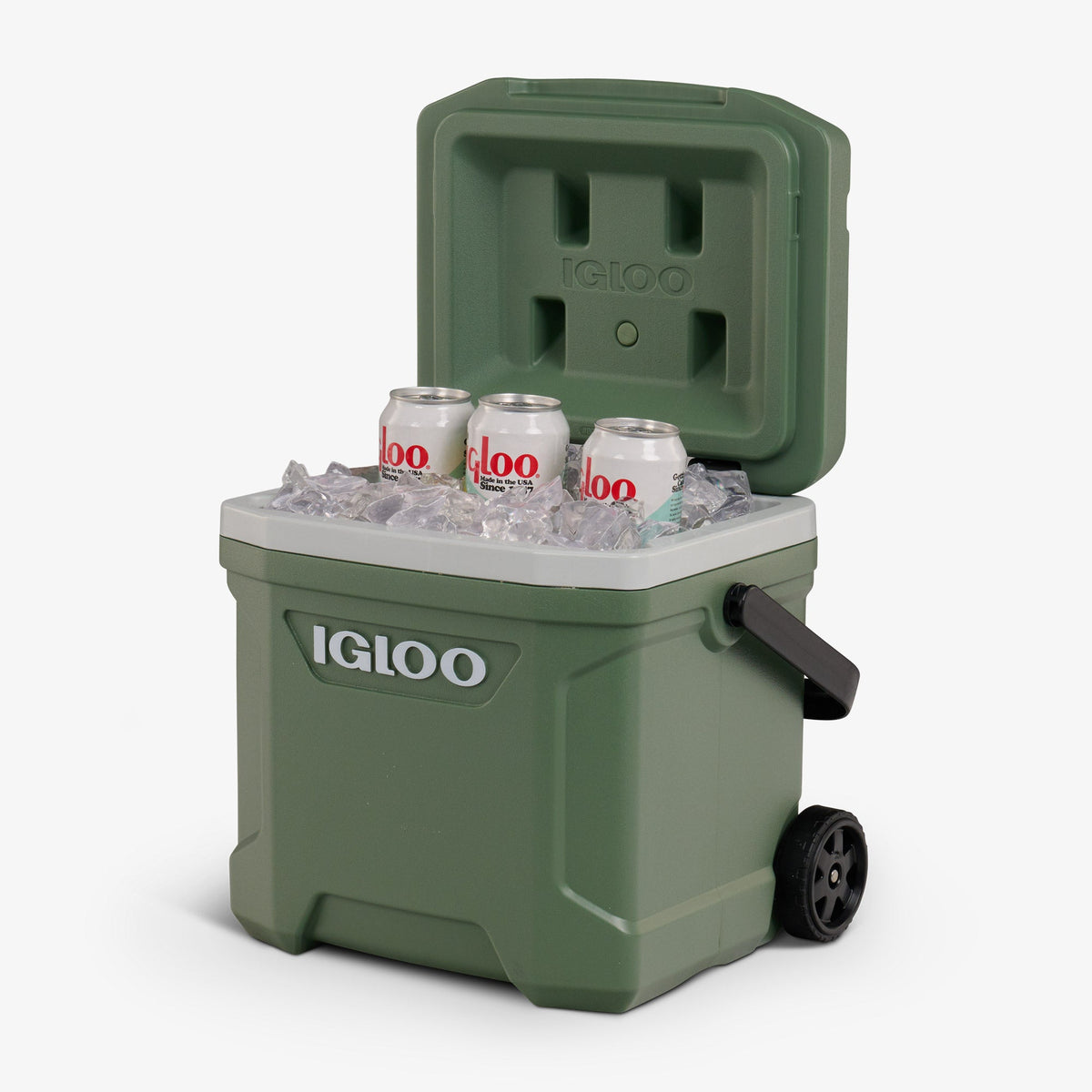 ecocool-latitude-16-qt-cooler-d5 00034894-P1.jpg