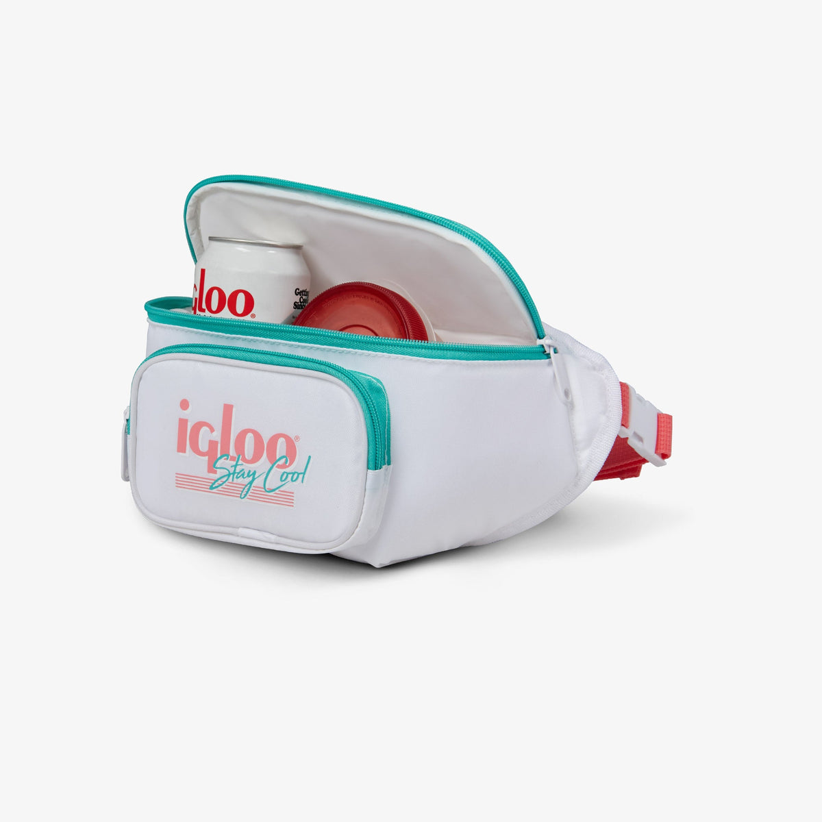 retro-fanny-pack-n0 00060951_3.jpg