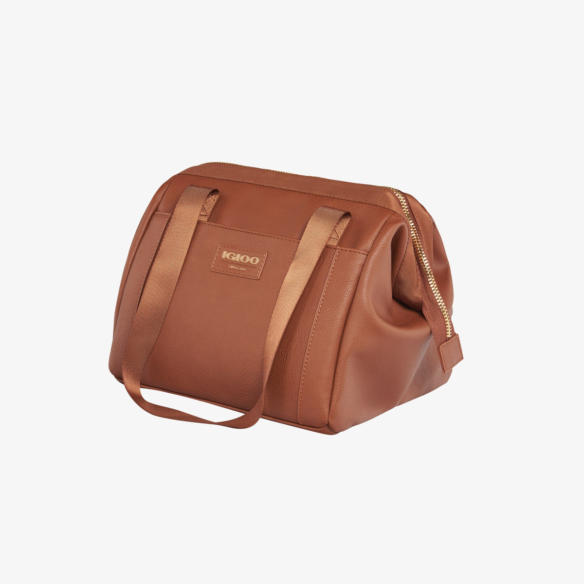 igloo-luxe-lunch-tote-cooler-bag-n1 00061160_2.jpg