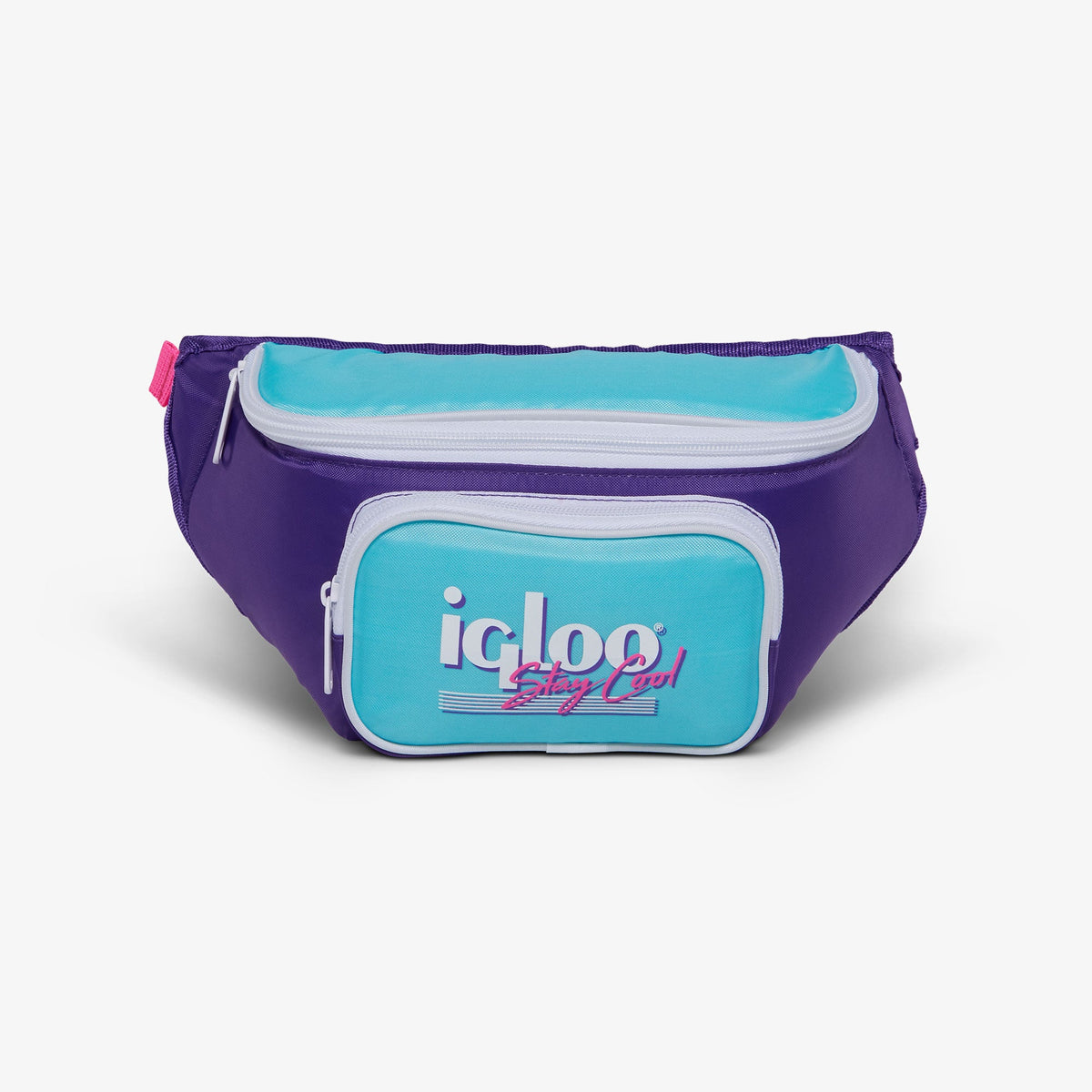 retro-fanny-pack-n0 00066056-F.jpg