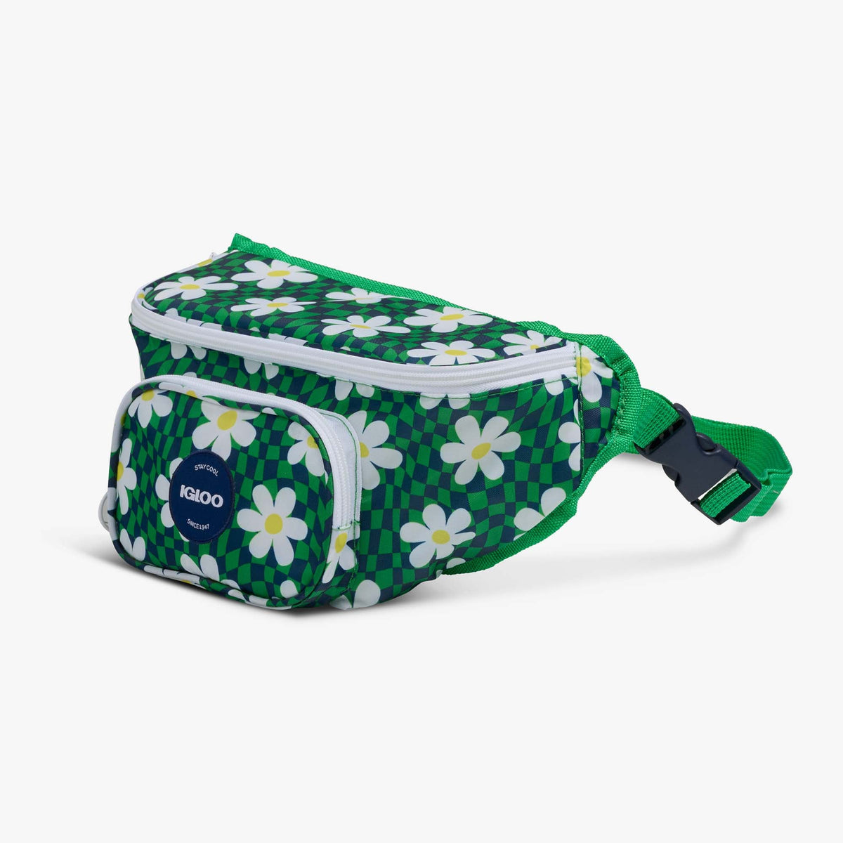 retro-fanny-pack-n0 00067206-H1.jpg