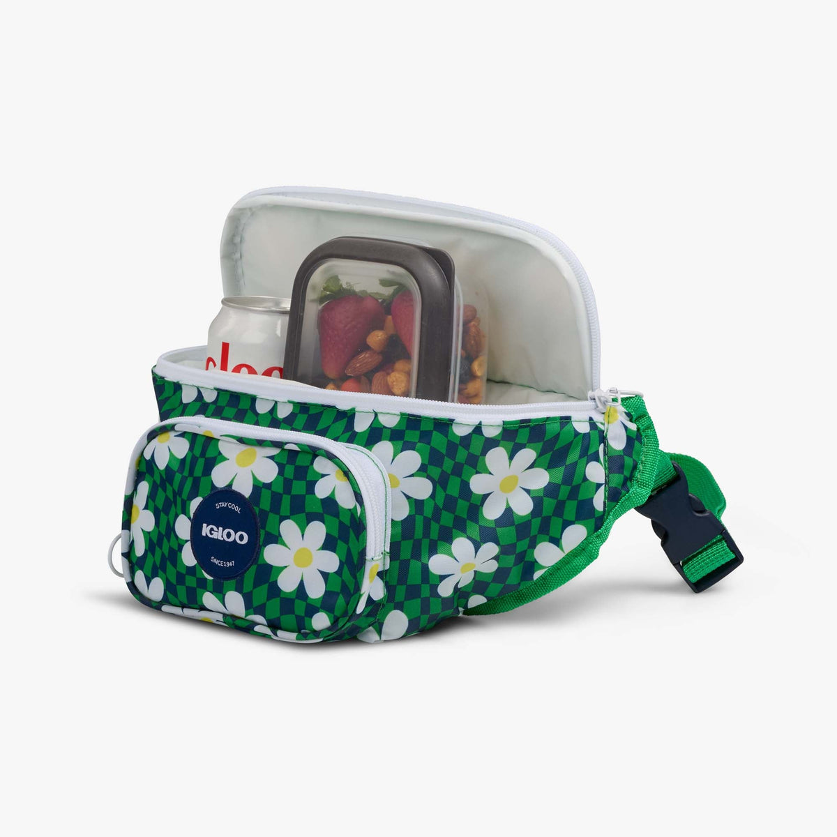 retro-fanny-pack-n0 00067206-P1.jpg